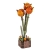 Pomarańczowy tulipan DIY - kwiaty