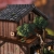 Miniaturowy domek Book Nook - Kioto market