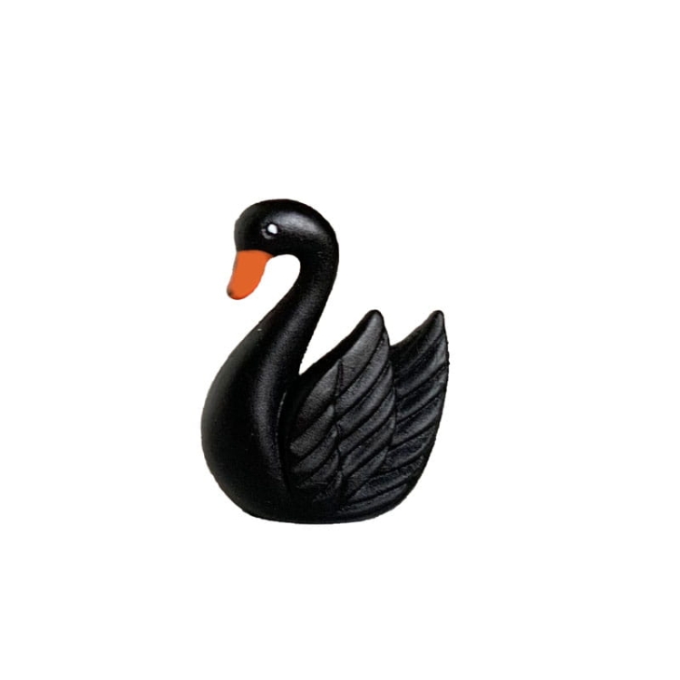 Łabądź czarny 1.jpg