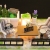 Miniaturowy domek - Muzyczny box