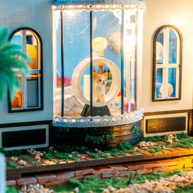 Miniaturowy domek - Pet Club