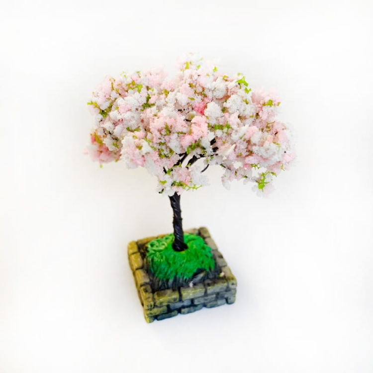 Drzewko - Magnolia 6 cm - na podstawce