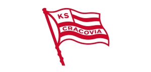 Puzzle 3D stadion Cracovia